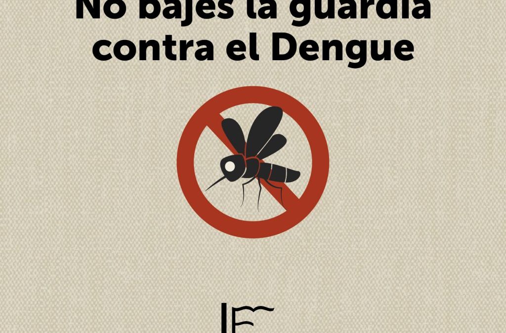 Todos podemos hacer mucho para prevenir el dengue