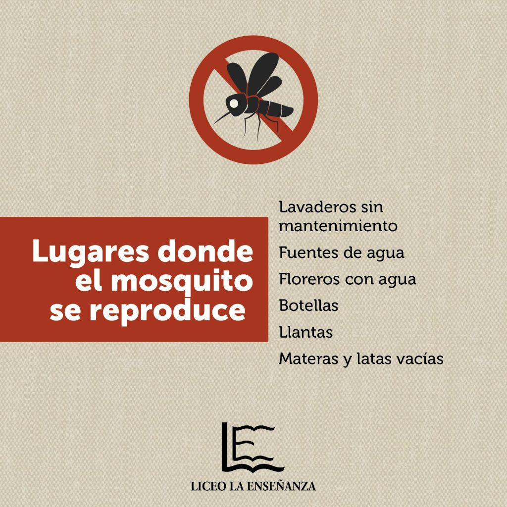 Campaña_dengue_LLE-03-1024x1024