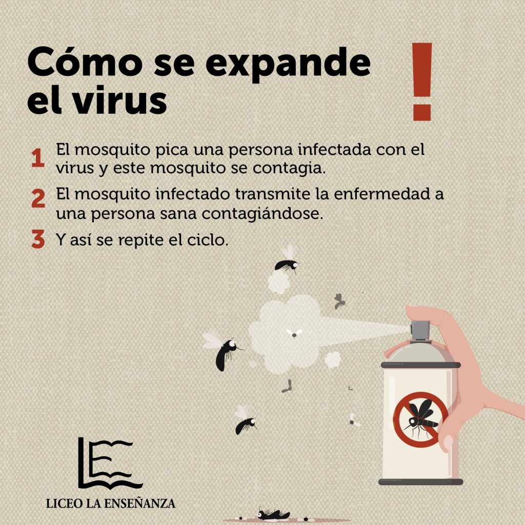 Campaña_dengue_LLE-04-1024x1024